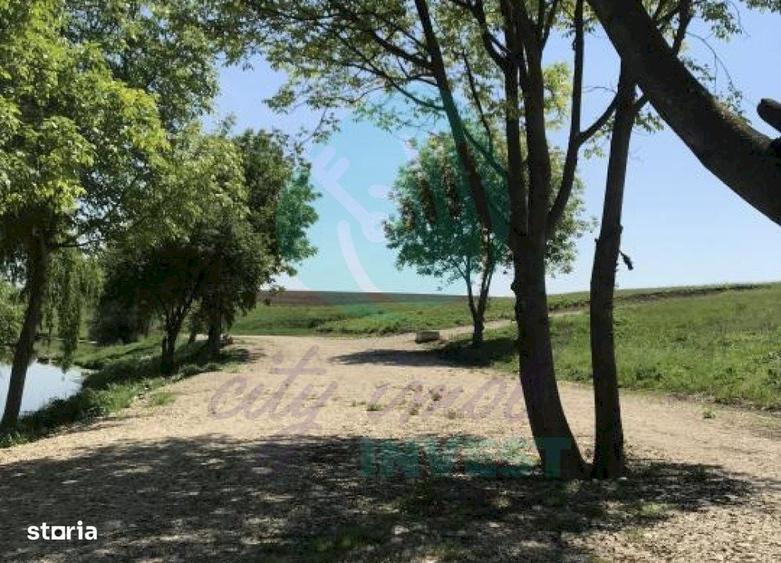 Spațiu comercial, în Moara Domnească