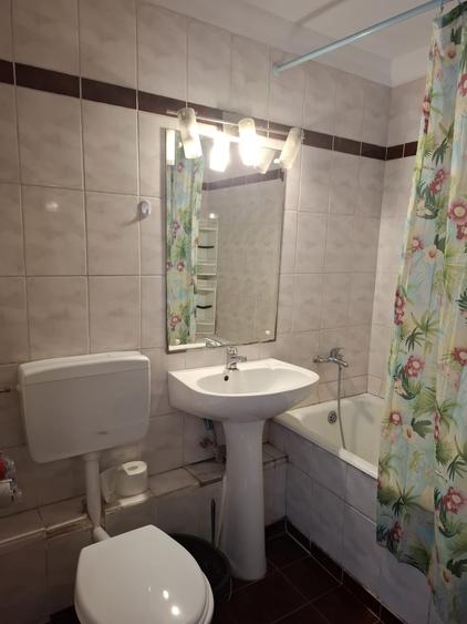 Apartament 2 camere de  inchiriat - LUJERULUI - 9