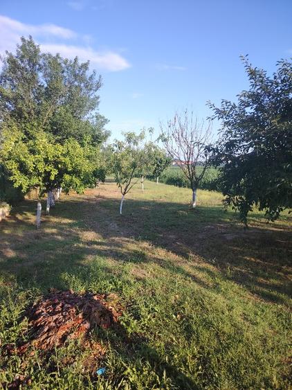 Casă de vânzare. - 1