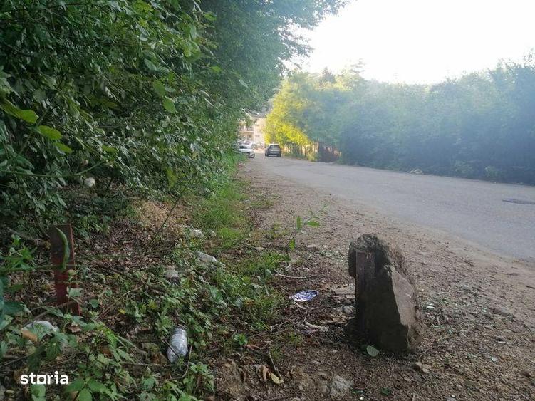 Teren de 20000 mp, în Teliucu Inferior