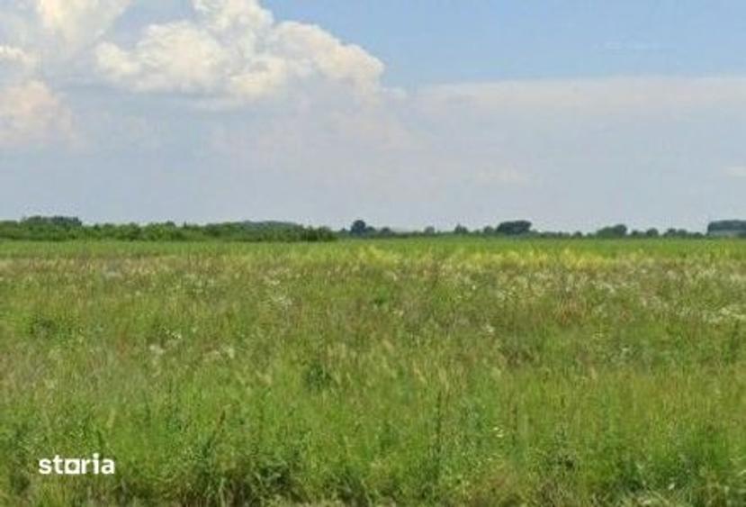 Teren de 5000 mp, în Titu