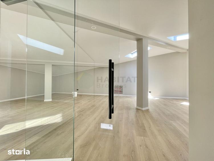 Vila individuala 5 camere Tunari 1 Decembrie - 17