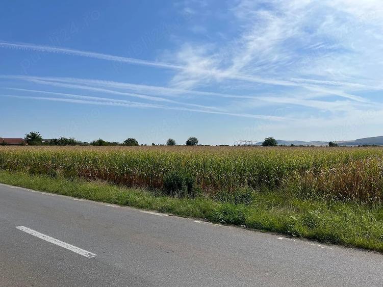 Teren de 6950 mp, în Central