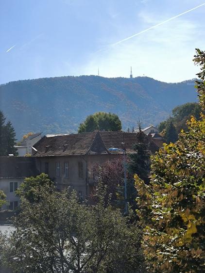 Apartament decomandat în Central