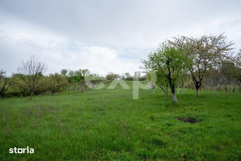 Casă cu 4 camere cu Teren 6436 Mp în Central