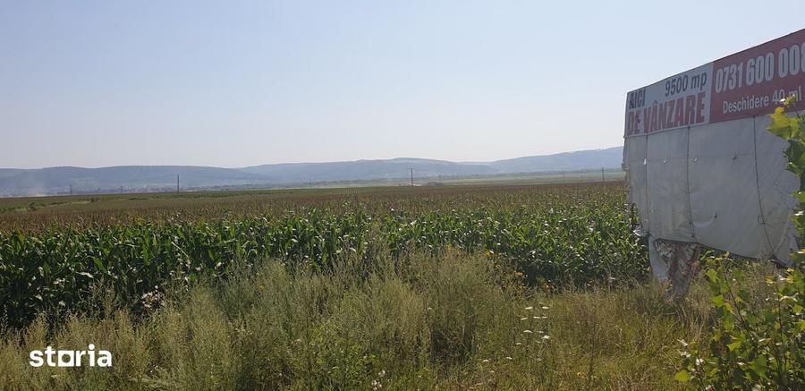 Teren de 9500 mp, în Nicolae Bălcescu
