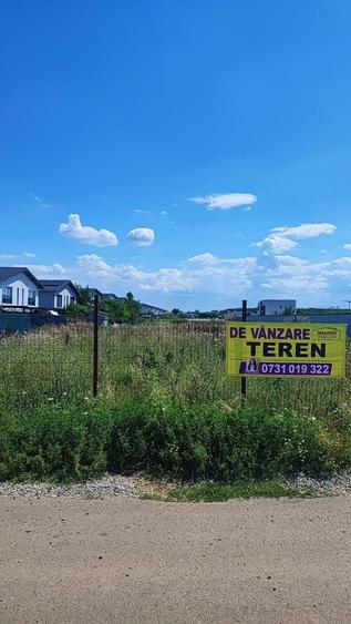 Teren intravilan 10.000mp Tunari - strada Orientului - 5