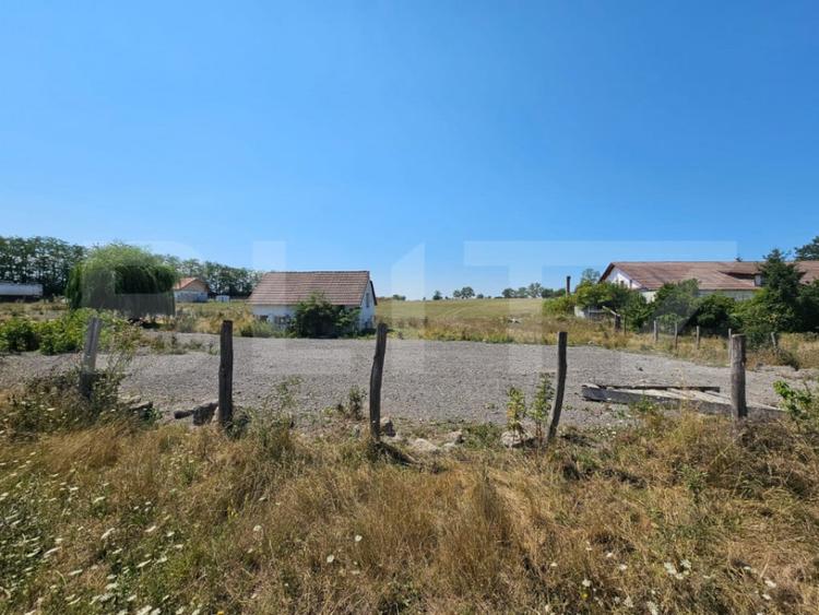 Teren intravilan 4.000 mp Vin?u de Jos, spre Pianu - 2