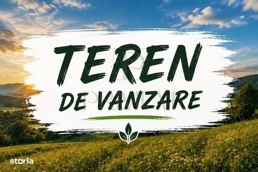Spațiu comercial, în Moșnița Veche