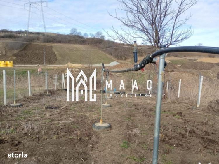 Spațiu comercial, în Șura Mare