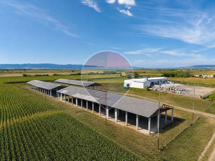 Teren Construcții intravilan de 17500 mp, în Hălchiu