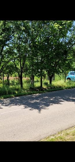 Teren Construcții intravilan în Răsimnicea