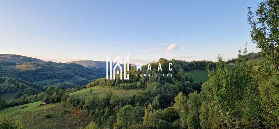 Teren agricol extravilan de 117000 mp, în Râmeț