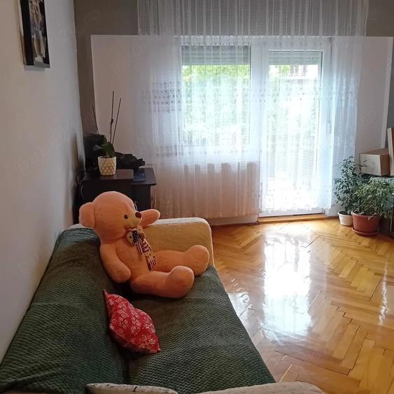 Apartament cu 2 camere decomandat în Carpați 2