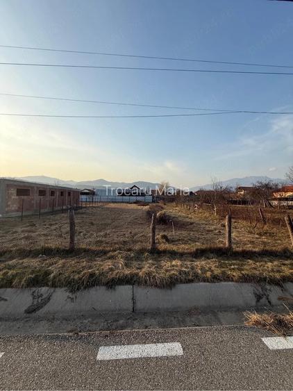 Teren de vanzare Jiblea Noua, Calimanesti