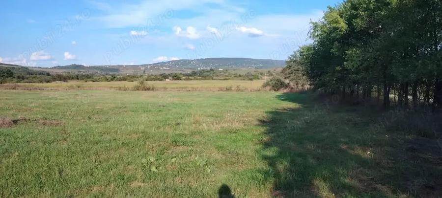 Teren de 3500 mp, în Ciurea