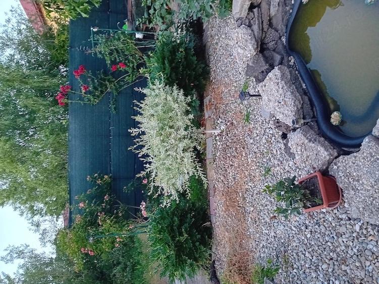Casă cu 5 camere cu Teren 756 Mp în Central