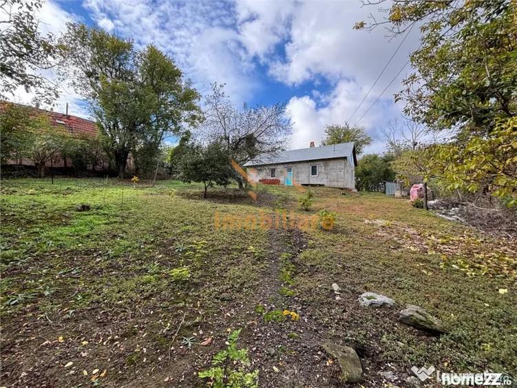 Casă cu 2 camere cu Teren 4000 Mp în Dernișoara