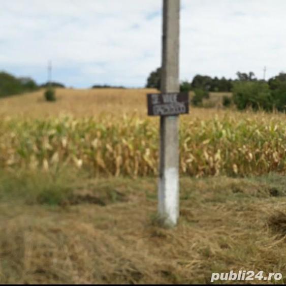 Teren în Albota