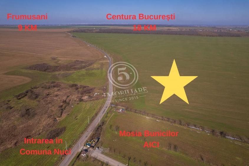 Teren Construcții intravilan de 80000 mp, în Frumușani