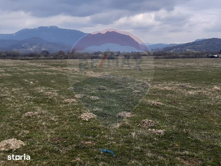 Teren de 10000 mp, în Pănicel