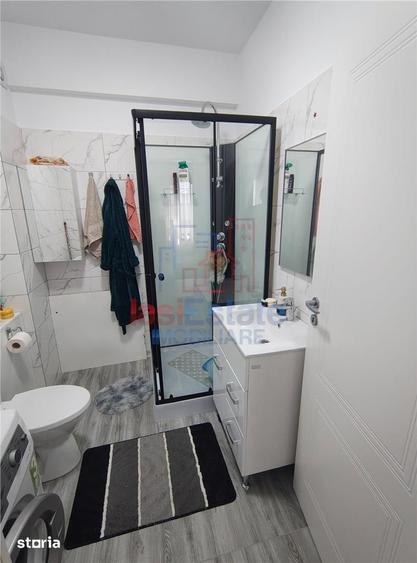 Apartament cu 2 camere, mobilat în Tomești