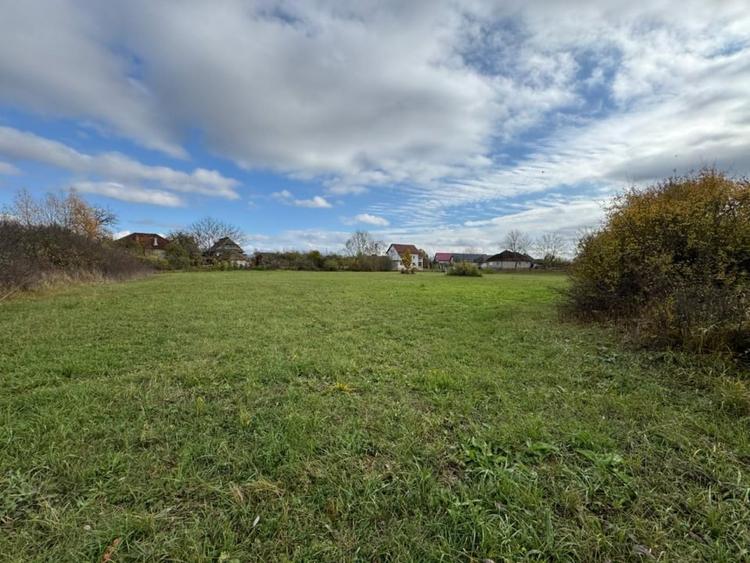 Teren Construcții intravilan de 3432 mp, în Mogoșești