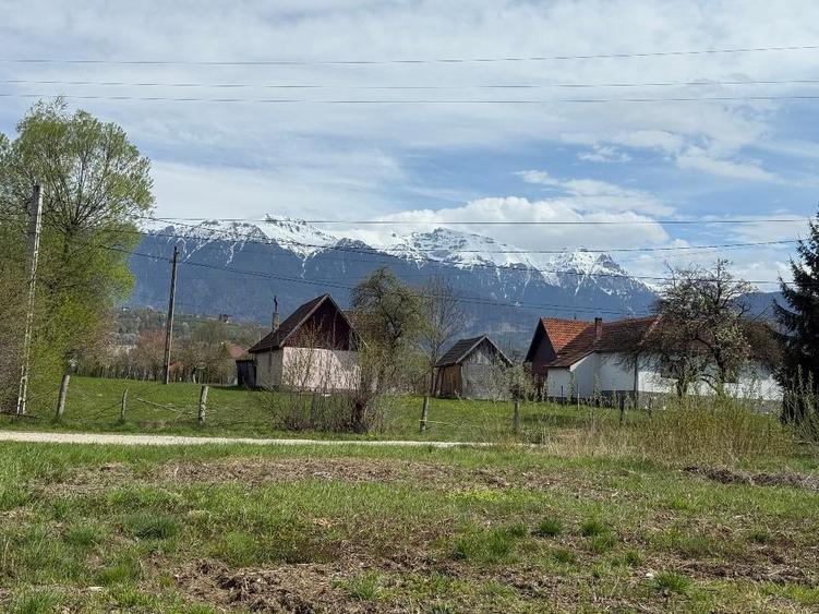 Teren Construcții intravilan de 2797 mp, în Bran