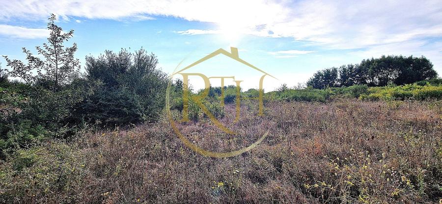 Teren agricol extravilan de 11273 mp, în Plopi