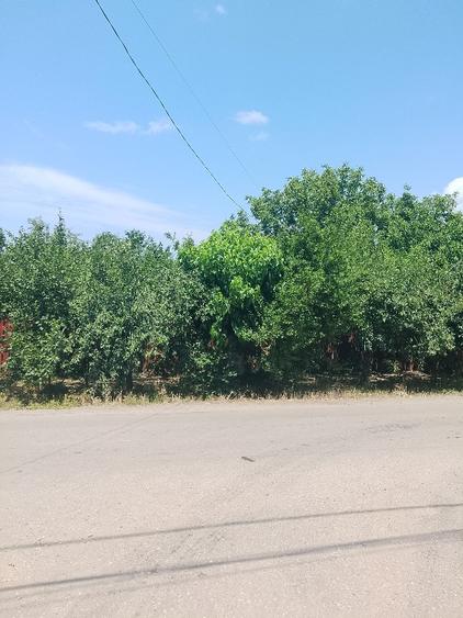 Casă individuală cu 4 camere cu Teren 2000 Mp în Izvoarele