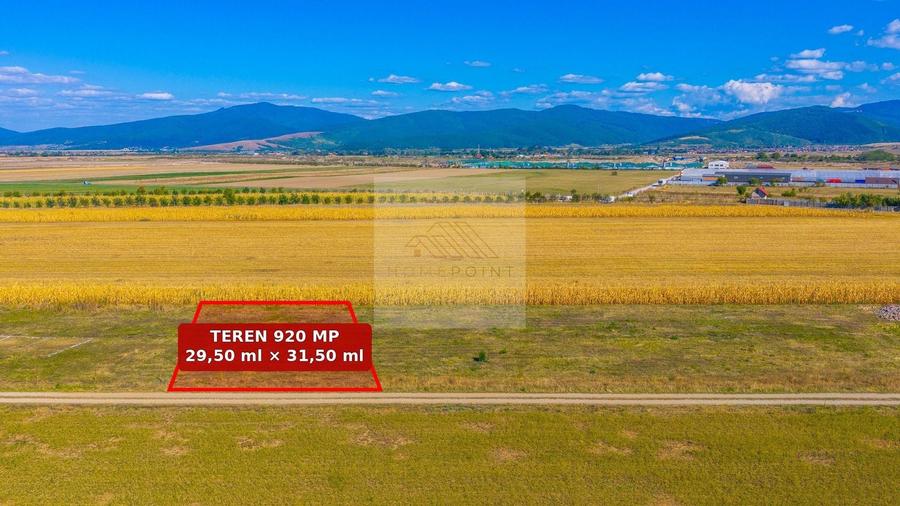 Teren Construcții intravilan de 460 mp, în Tărlungeni