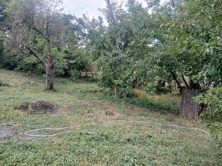Teren de 1450 mp, în Central