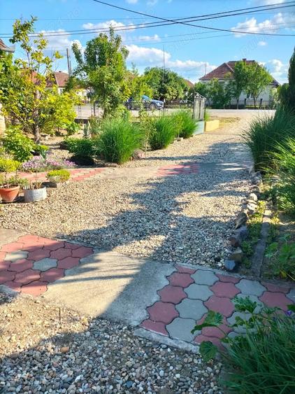 Casă cu Teren 6400 Mp în Băbășești