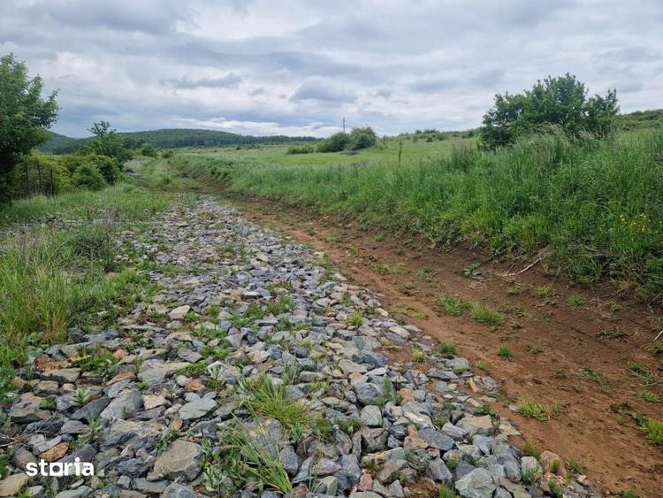 Teren de 924 mp, în Ciurila