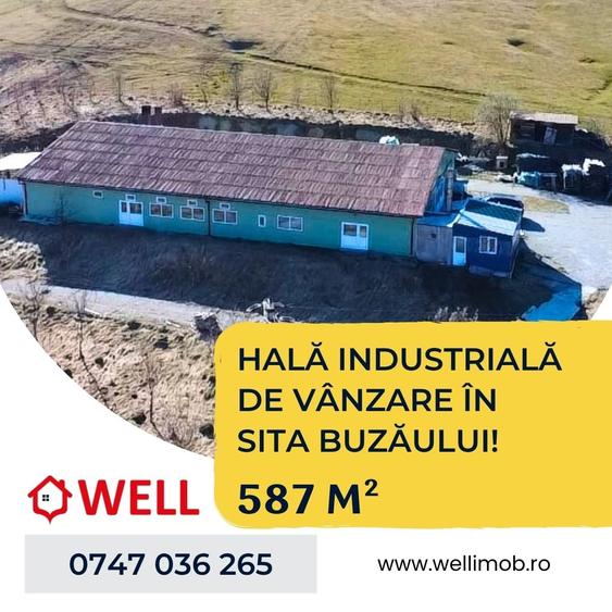 Spațiu industrial, de 587 mp, în Sita Buzăului