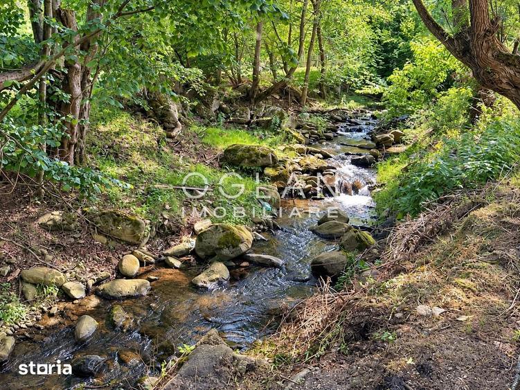 Teren de 1036 mp, în Câineni