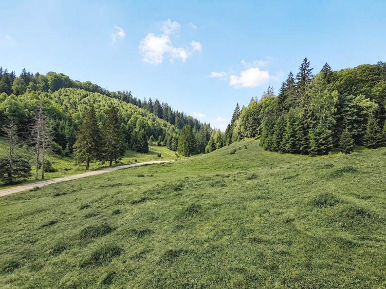 Teren Construcții intravilan de 2763 mp, în Poiana Brașov