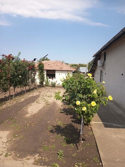 Casă individuală cu 4 camere cu Teren 2400 Mp în Traian