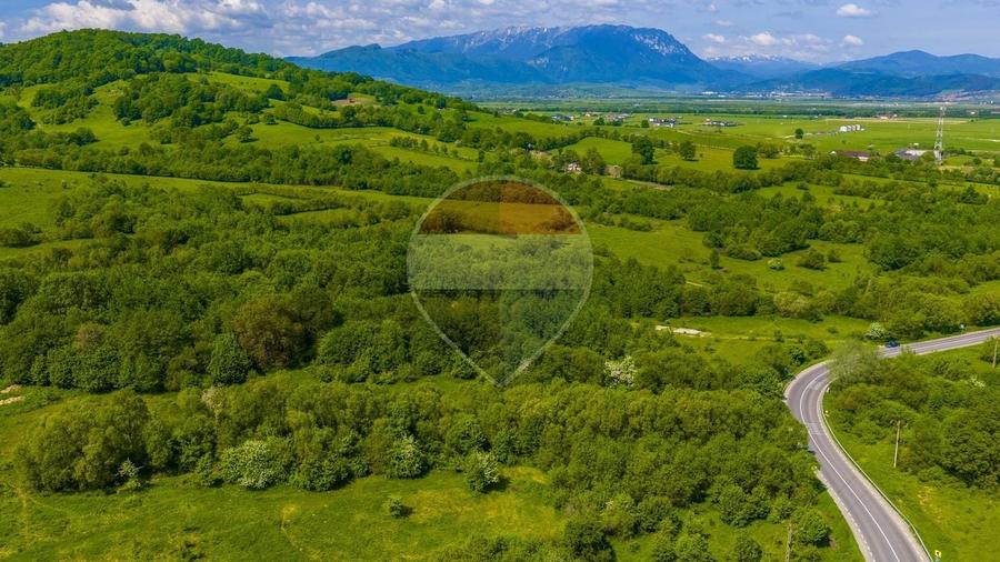 Teren Construcții intravilan de 10000 mp, în Glăjărie