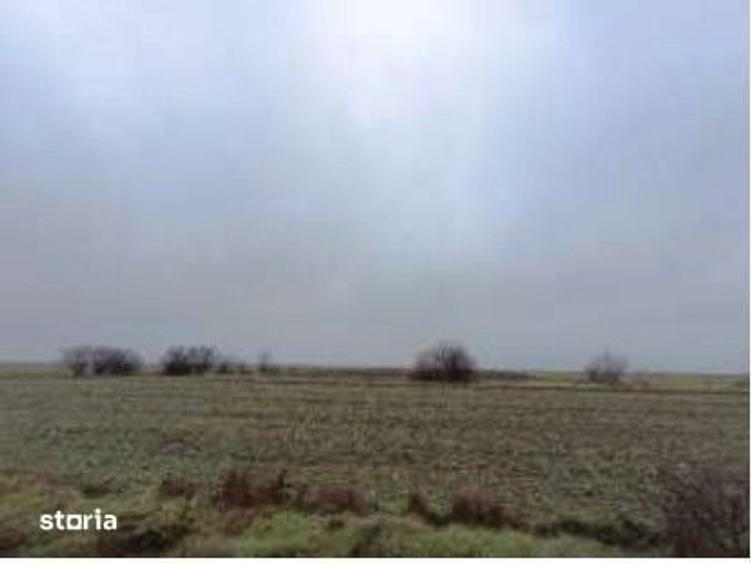 Teren de 6000 mp, în Ciocârlia