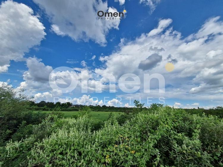 Teren agricol extravilan de 12000 mp, în Hideaga