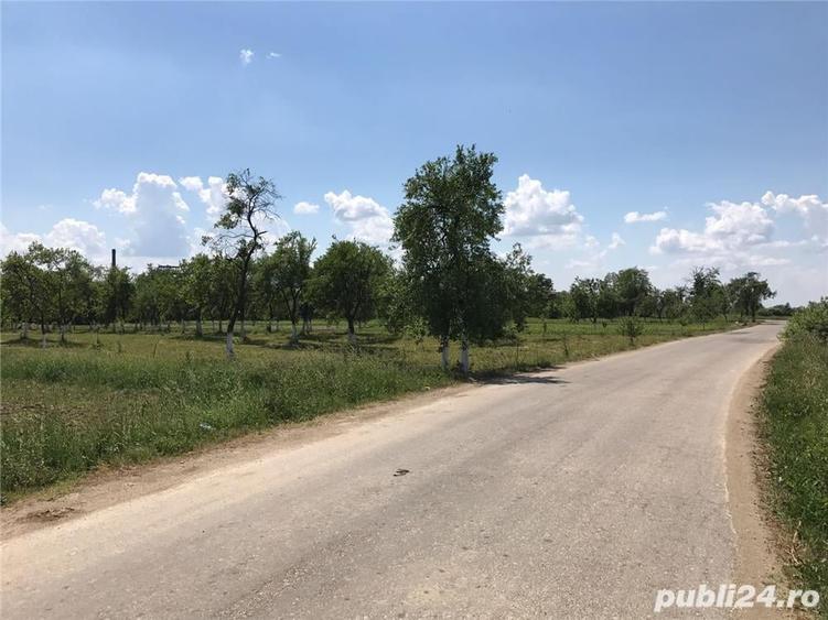 Teren de 3000 mp, în Margina
