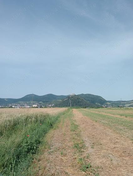 Teren de 6600 mp, în Central