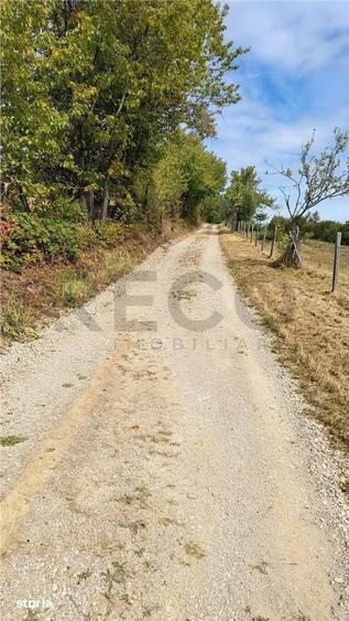 Teren de 15372 mp, în Șinteu