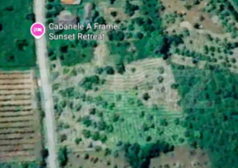 Teren intravilan 10.000 mp | Deschidere 40 m | Zona de pad - 2