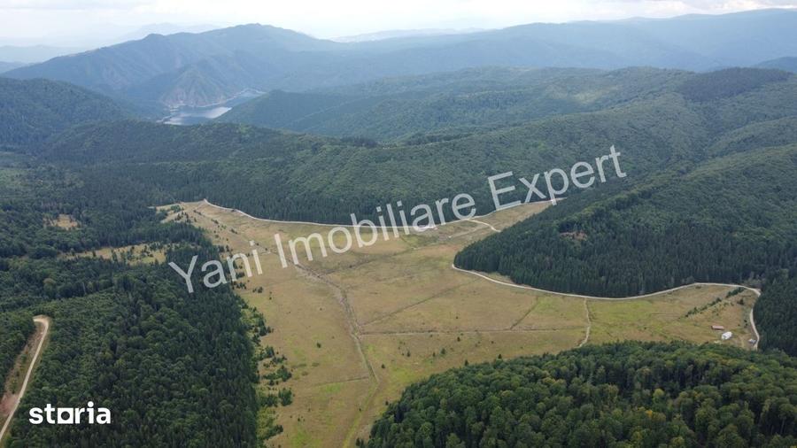 Teren de vanzare pe Transfagara?an, zona Molivi?u ( 69.450 mp ) - 14