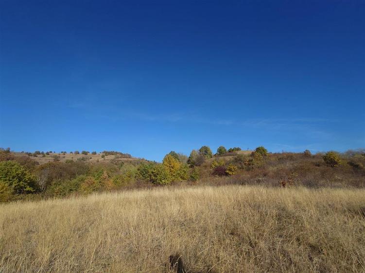 Teren extravilan de 12166 mp, în Vălișoara