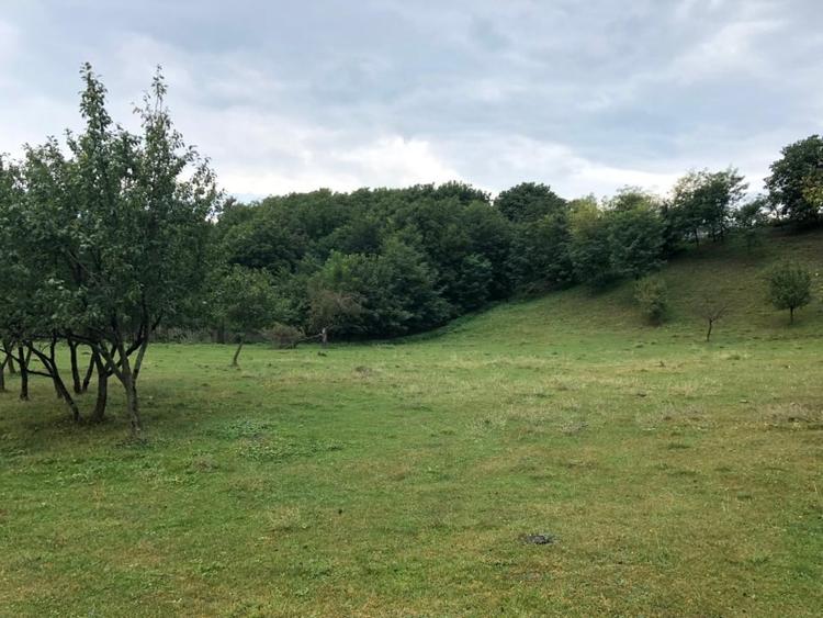 Teren Construcții intravilan de 3000 mp, în Vălenii de Munte