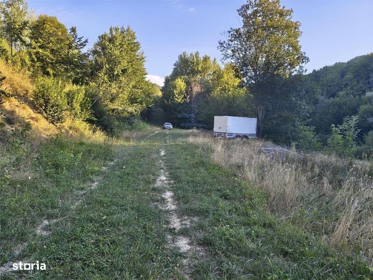 Teren intravilan de vanzare in padure Cisnadioara - 4
