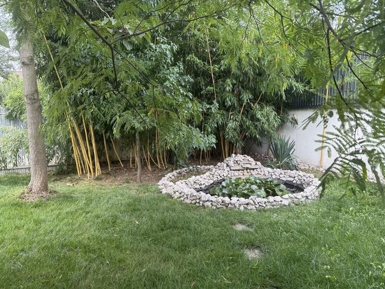 Casă cu 4 camere în Lipănești